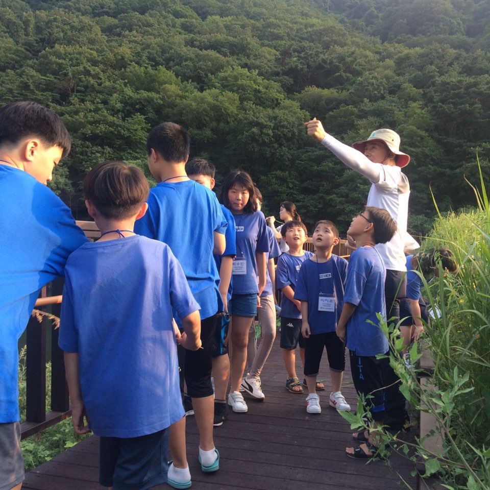 국립칠곡숲체원의 녹색자금산림교육 나눔의 숲 캠프 참석한 장애-비장애아동들