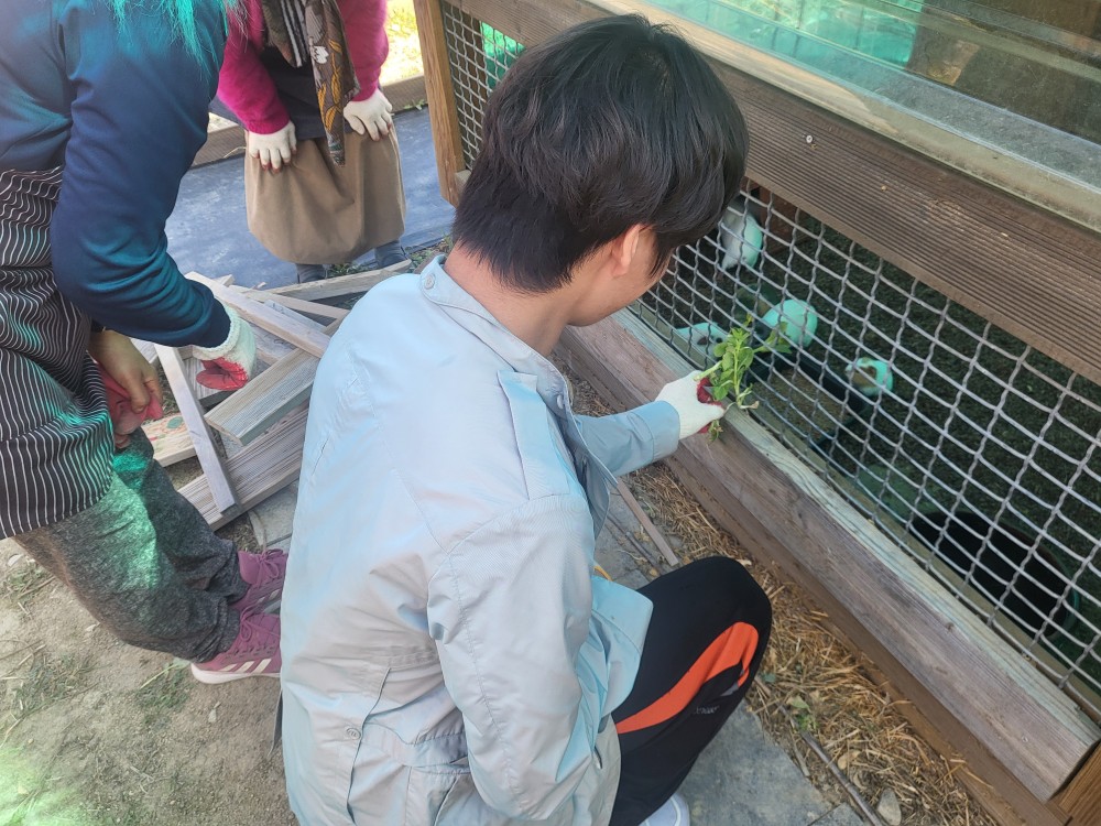 보호작업실 체험활동(어울림텃밭 가꾸기)